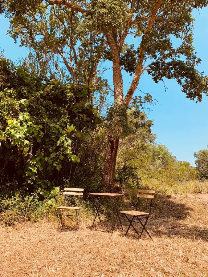Private Eco Glamping In Alfambras Luxury tent Aljezur
